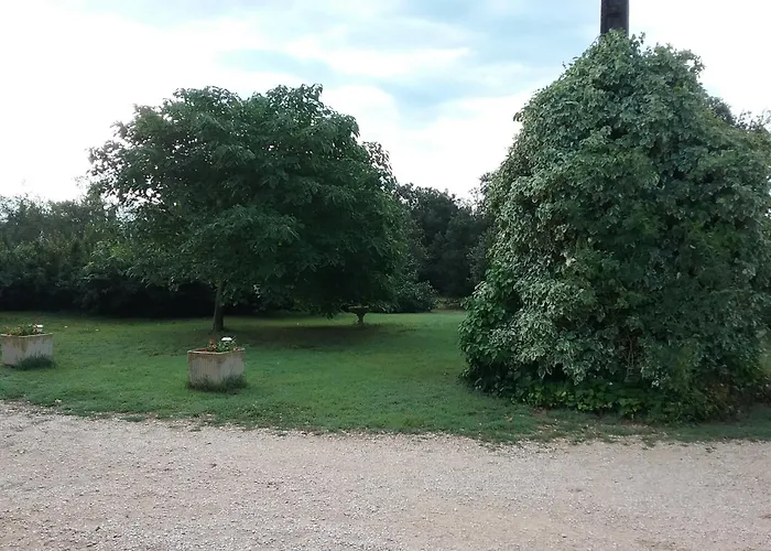 Le Mas Du Berger